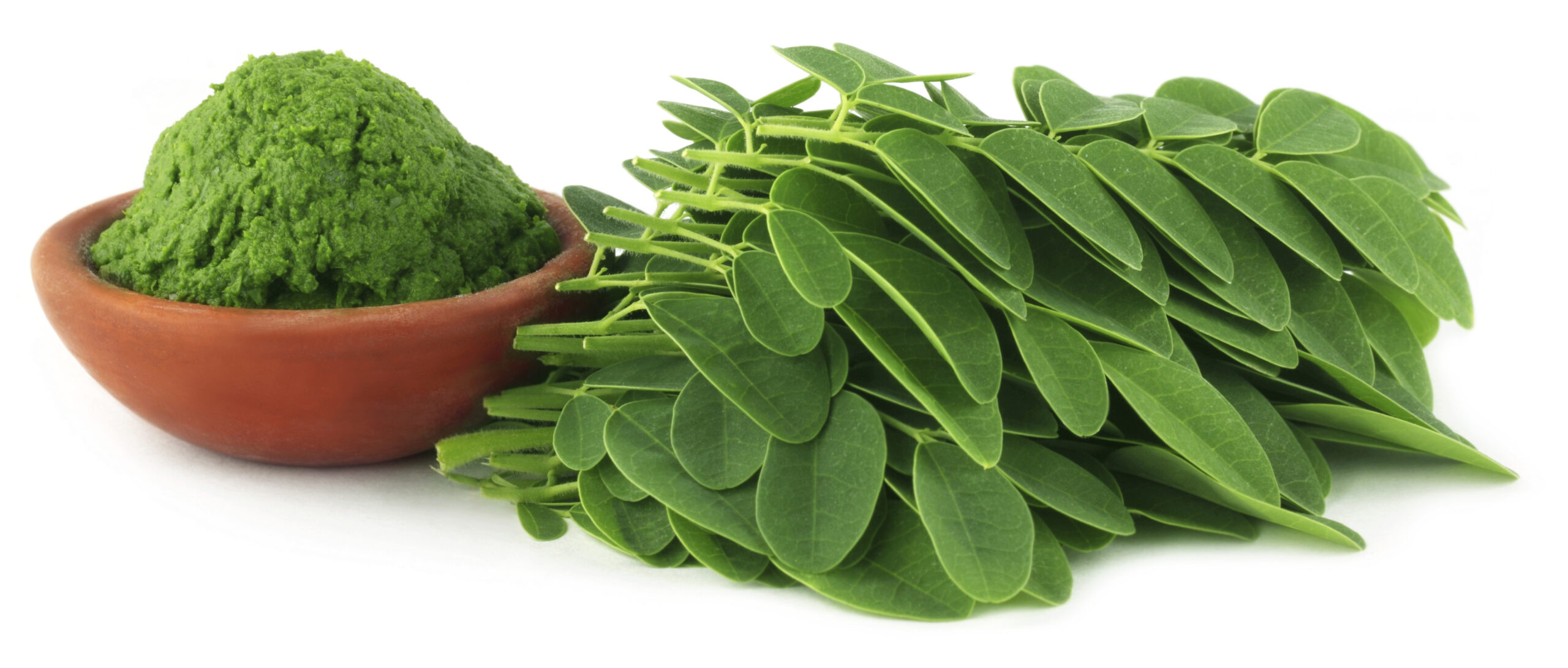 Moringa, la plante miraculeuse