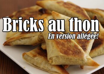 [Food] Bricks légères au thon et aux légumes #LGDK