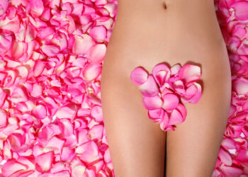 zones érogènes: des pétales de roses sur le pubis d'une femme