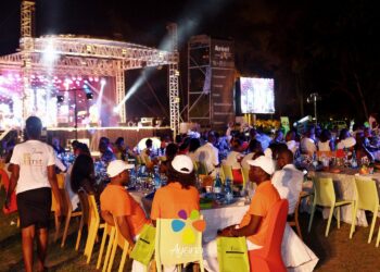 [Event] Ayana à l&rsquo;Ivorian Network BBQ
