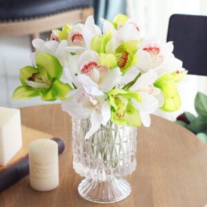 orchidee m