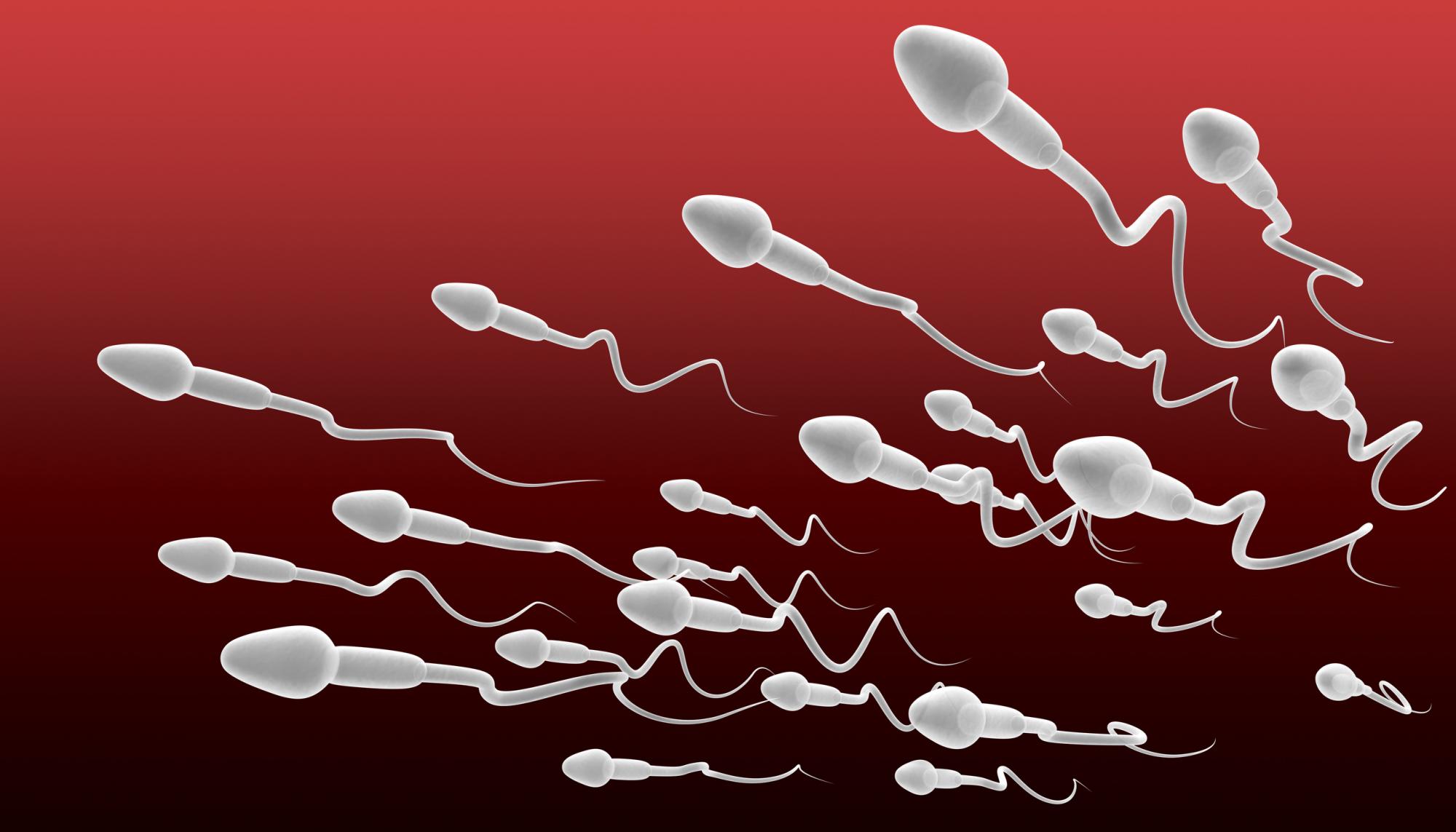 [Sexualité] Ce qu&rsquo;on ne vous a jamais dit sur le sperme…