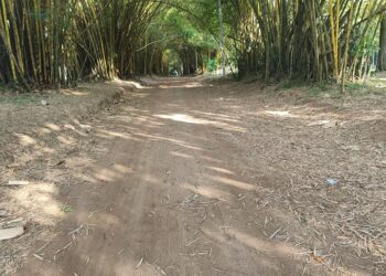 Activités familiales en Côte d&rsquo;Ivoire : 6 idées pour renforcer les liens